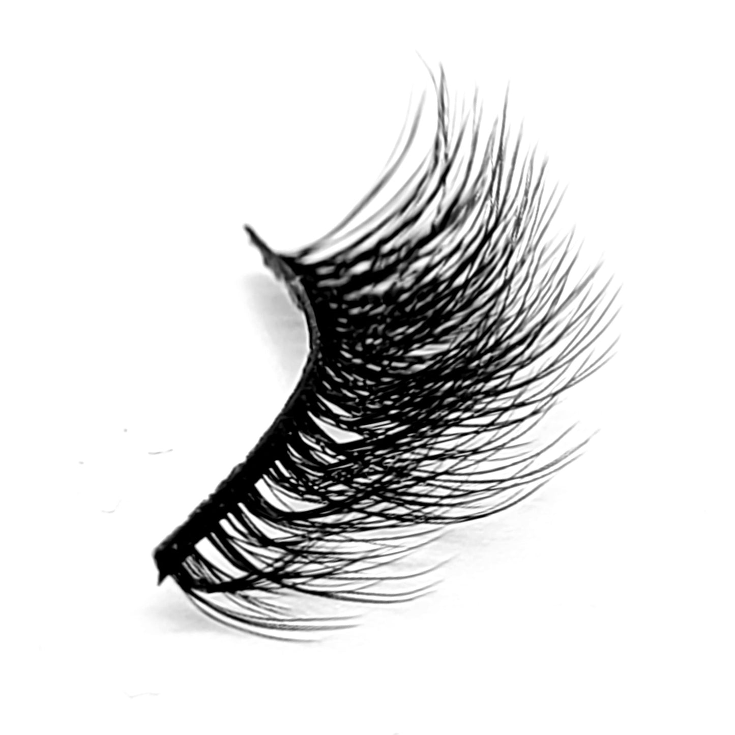 BEBE LASHES