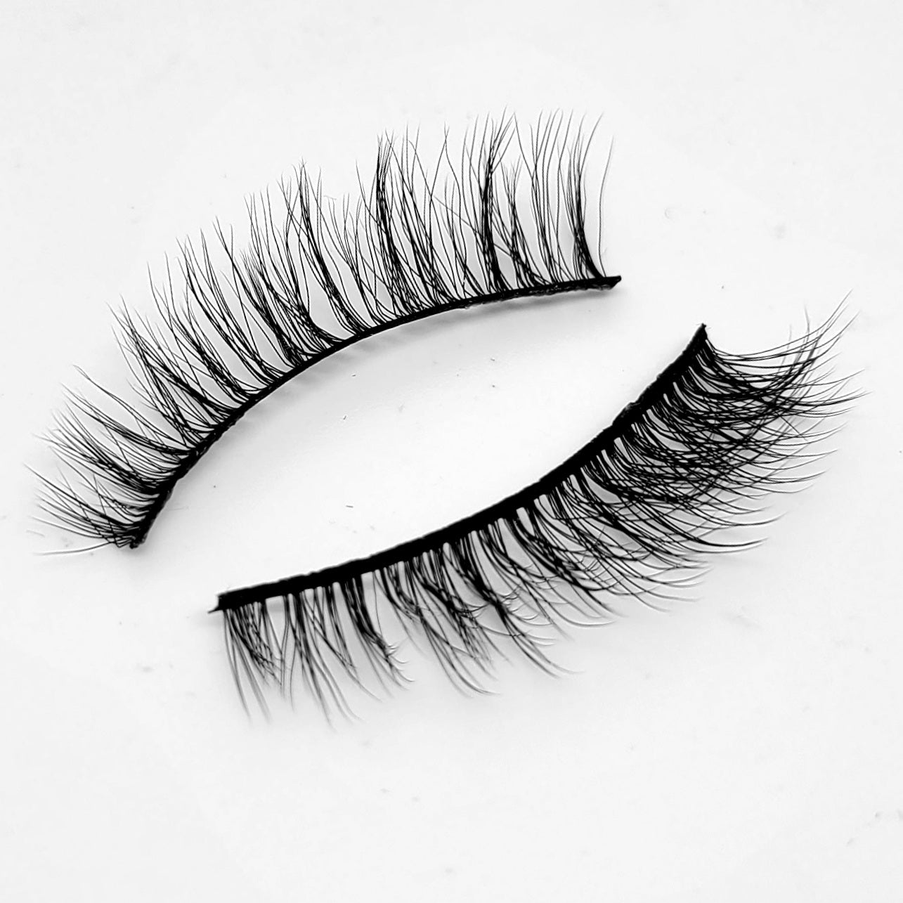 BEBE LASHES