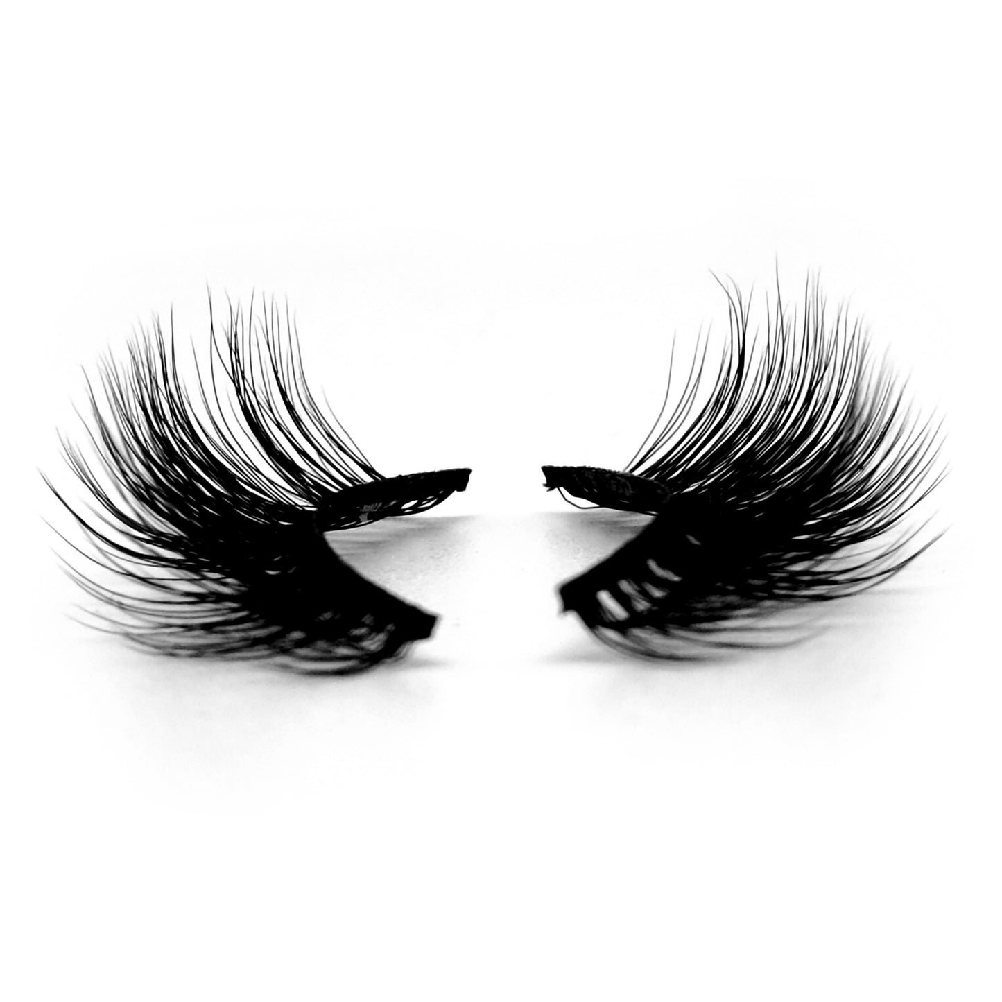 BEBE LASHES