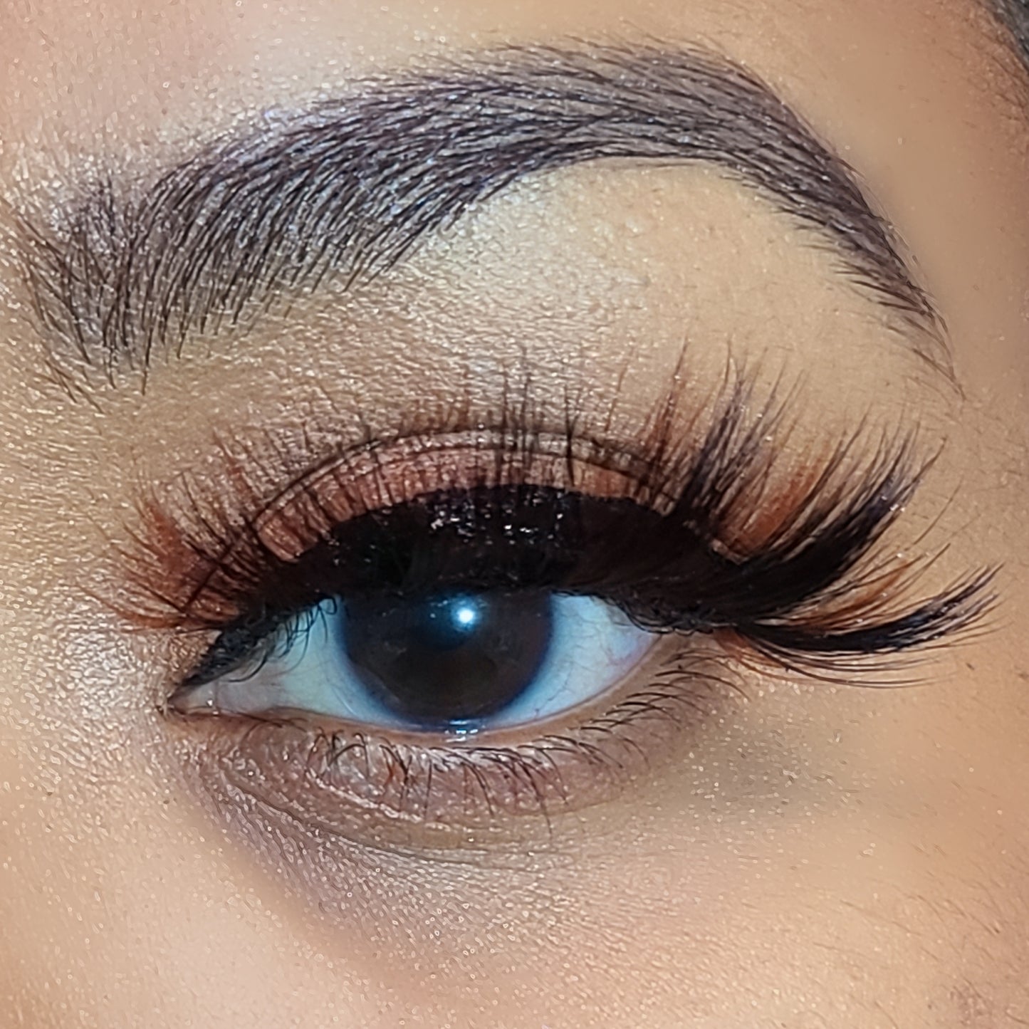 YOUNG MONEY LASHES