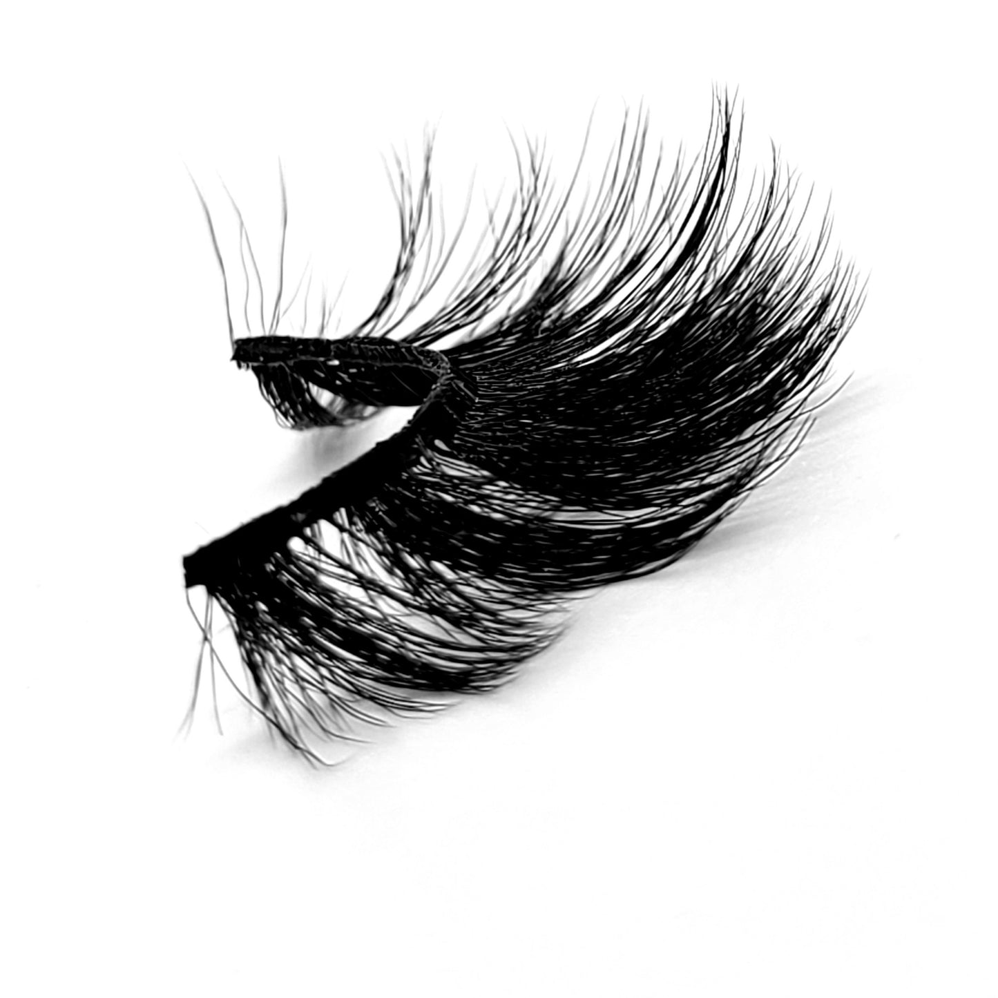 YOUNG MONEY LASHES