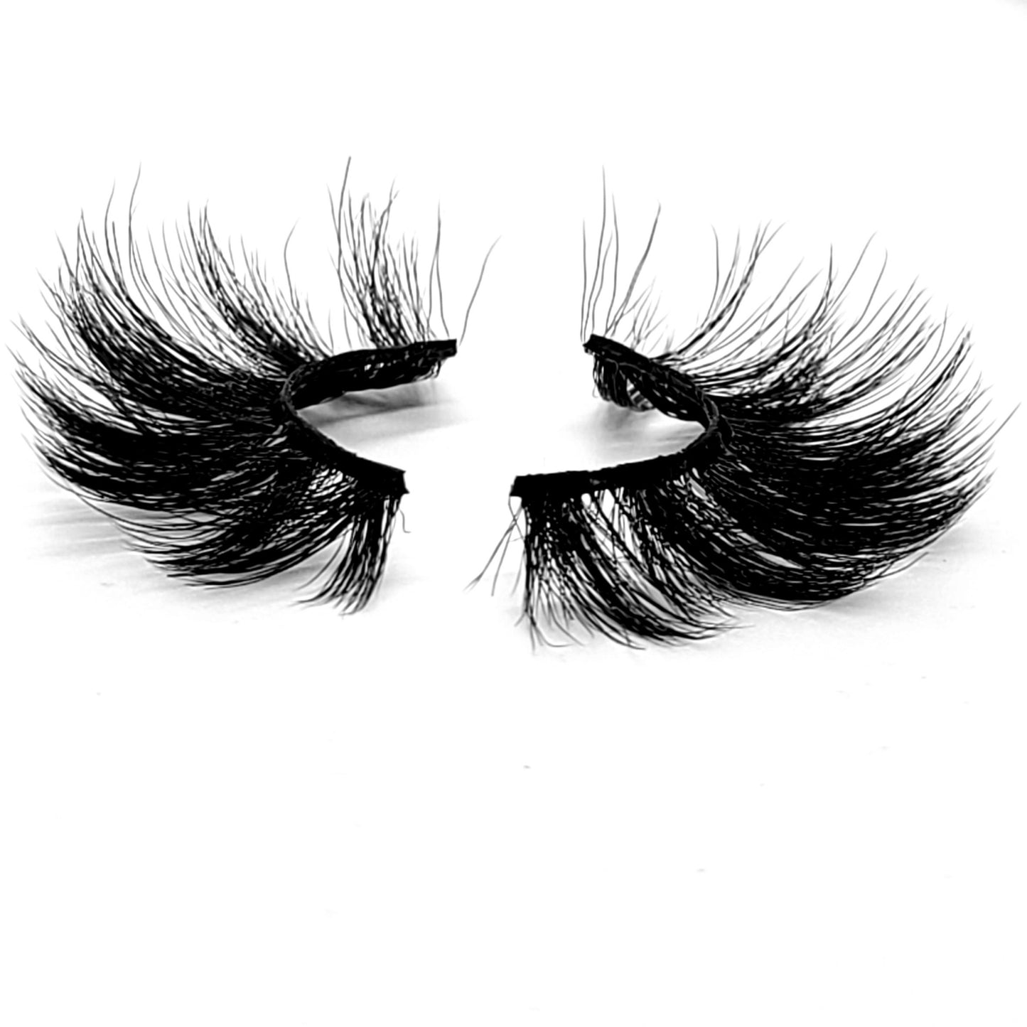 YOUNG MONEY LASHES