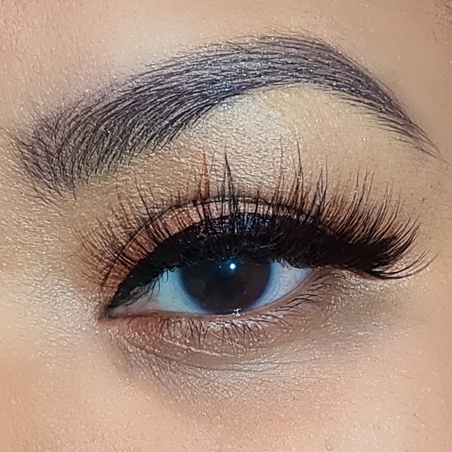 DREAMY LASHES