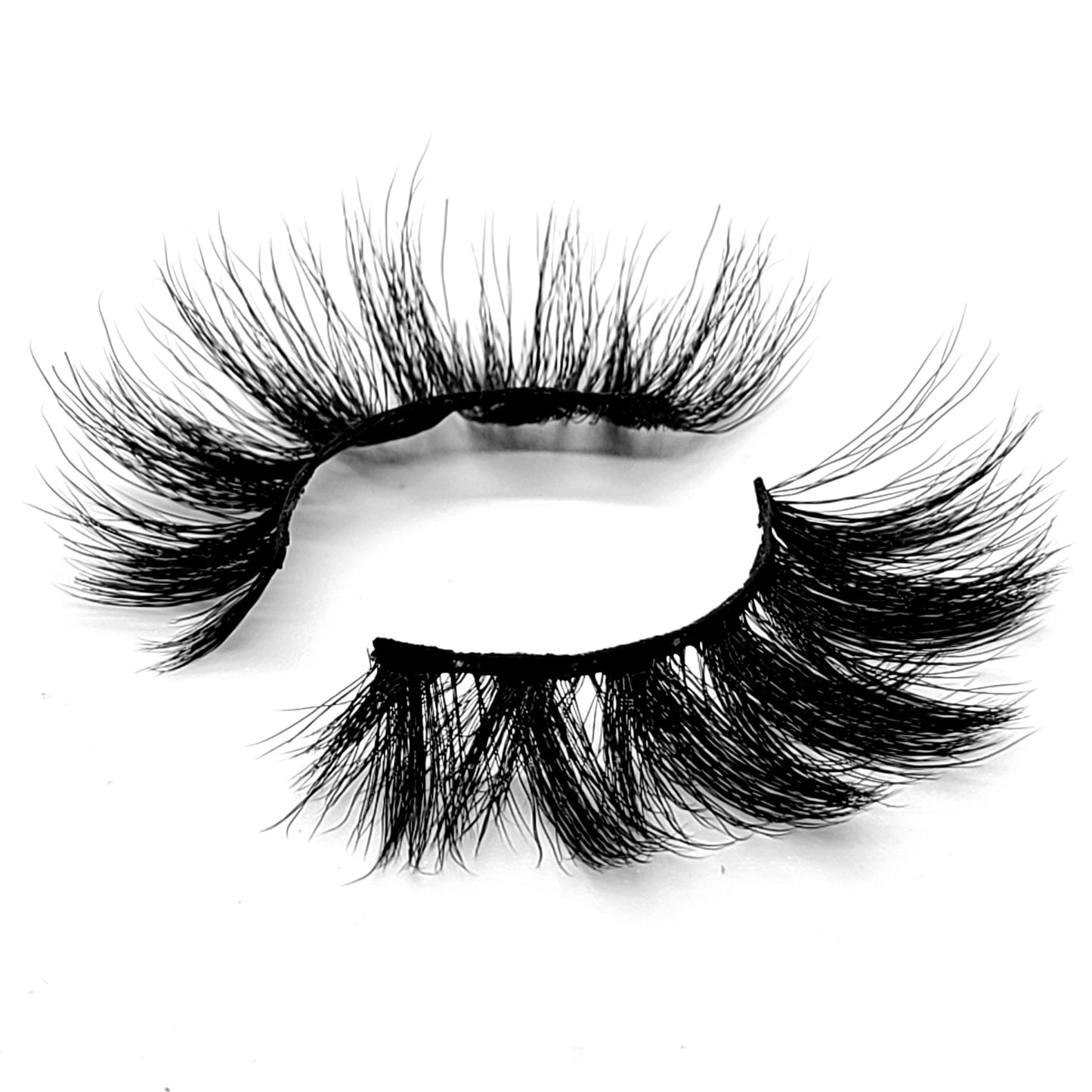 YOUNG MONEY LASHES